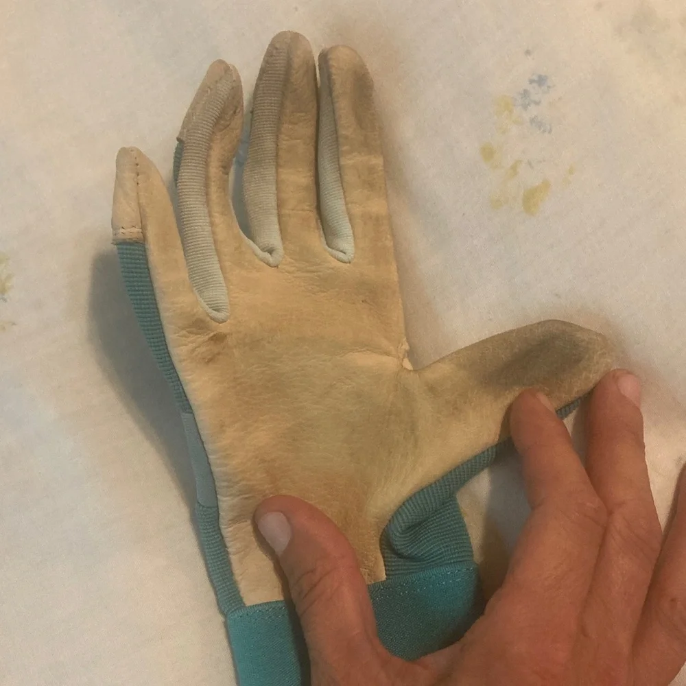 Women's Gloves